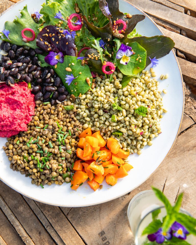 Vallanes - Móður Jörð - Q23A6781