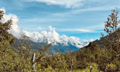 PHOTO-2024-07-05-18-08-48